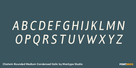 Chatwin Rounded Medium Condensed Italic Thumbnail #2