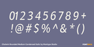 Chatwin Rounded Medium Condensed Italic Thumbnail #4