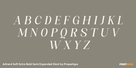 Artrend Soft Extra Bold Semi Expanded Slant Thumbnail #2