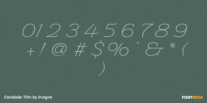 Caridade Thin Font Poster #4