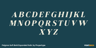 Felgiora Soft Bold Expanded Italic Thumbnail #2