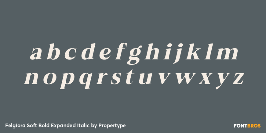 Felgiora Soft Bold Expanded Italic Font Poster #3