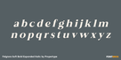 Felgiora Soft Bold Expanded Italic Thumbnail #3
