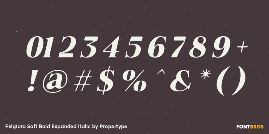 Felgiora Soft Bold Expanded Italic Font Poster #4