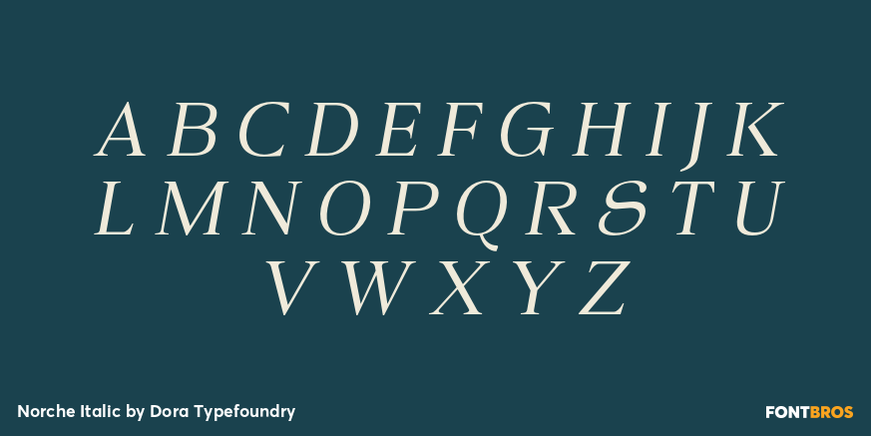 Norche Italic Font Poster #2