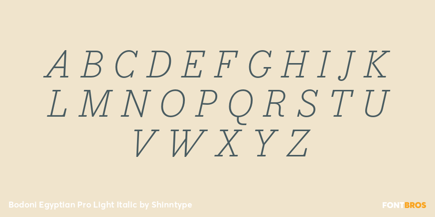 Bodoni Egyptian Pro Light Italic Font Poster #2