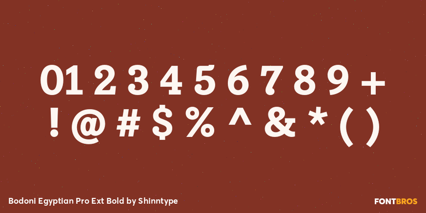 Bodoni Egyptian Pro Ext Bold Font Poster #4