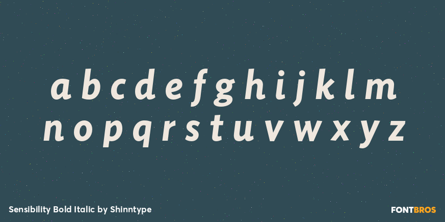 Sensibility Bold Italic Font Poster #3