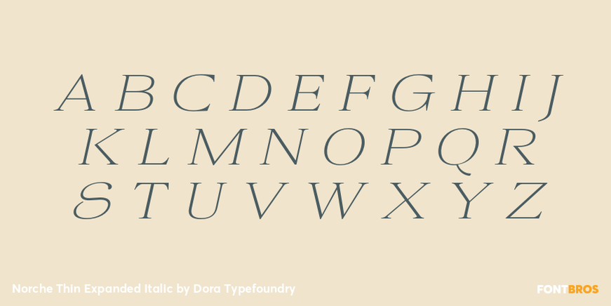 Norche Thin Expanded Italic Font Poster #2