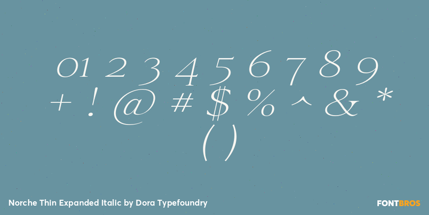 Norche Thin Expanded Italic Font Poster #4