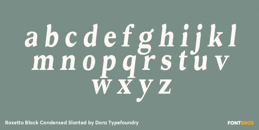 Roxetto Black Condensed Slanted Font Poster #3
