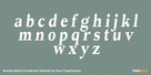 Roxetto Black Condensed Slanted Thumbnail #3