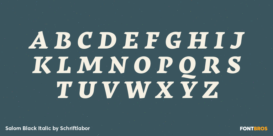 Salom Black Italic Font Poster #2