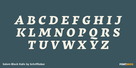 Salom Black Italic Thumbnail #2