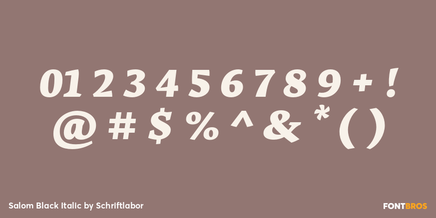 Salom Black Italic Font Poster #4