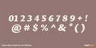 Salom Black Italic Thumbnail #4