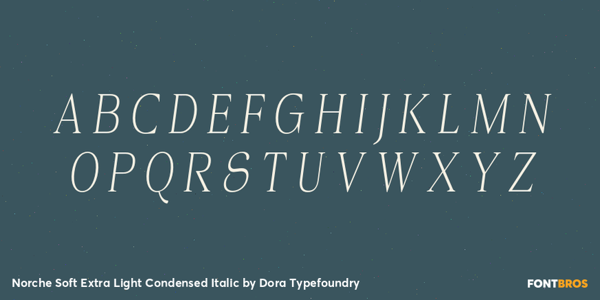 Norche Soft Extra Light Condensed Italic Font Poster #2