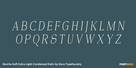 Norche Soft Extra Light Condensed Italic Thumbnail #2