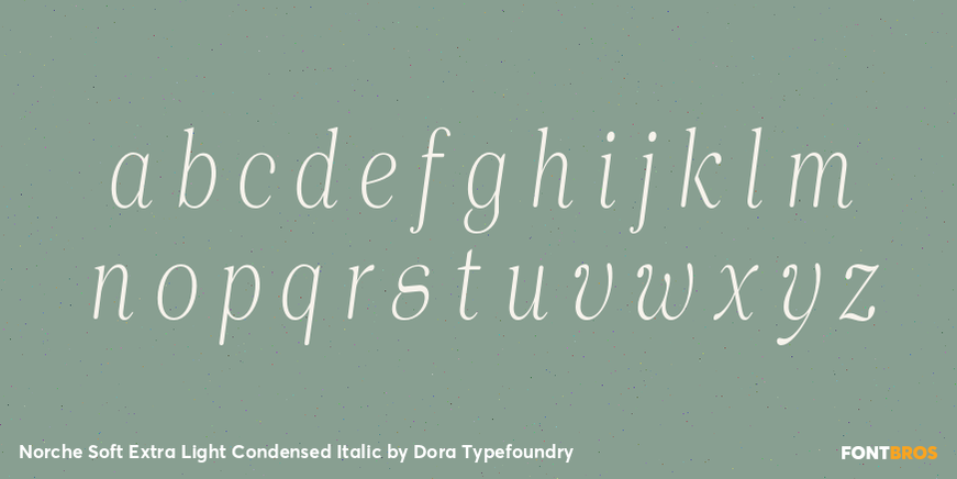 Norche Soft Extra Light Condensed Italic Font Poster #3