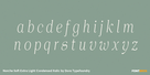 Norche Soft Extra Light Condensed Italic Thumbnail #3