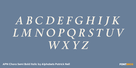 APN Chora Semi Bold Italic Thumbnail #2