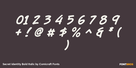 Secret Identity Bold Italic Thumbnail #4