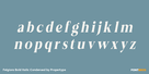 Felgiora Bold Italic Condensed Thumbnail #3