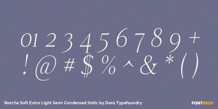 Norche Soft Extra Light Semi Condensed Italic Font Poster #4