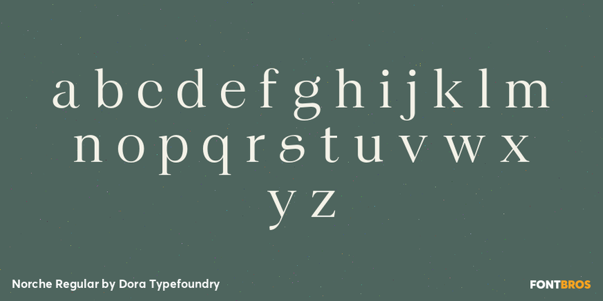 Norche Regular Font Poster #3