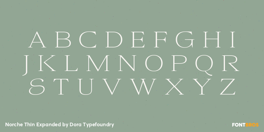 Norche Thin Expanded Font Poster #2