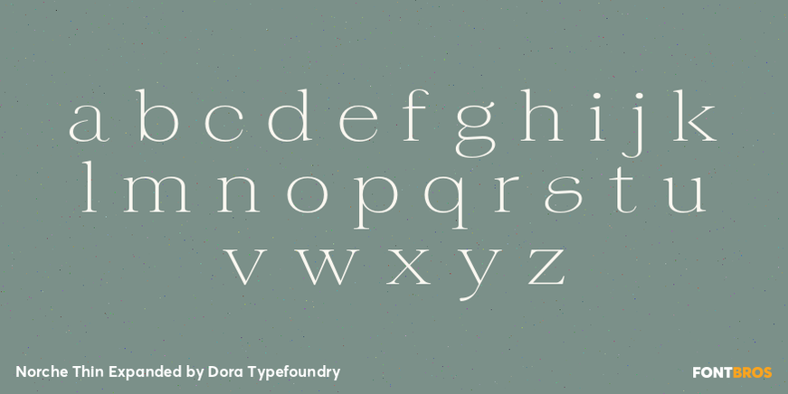 Norche Thin Expanded Font Poster #3