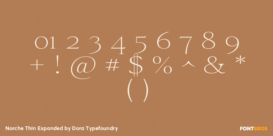 Norche Thin Expanded Font Poster #4