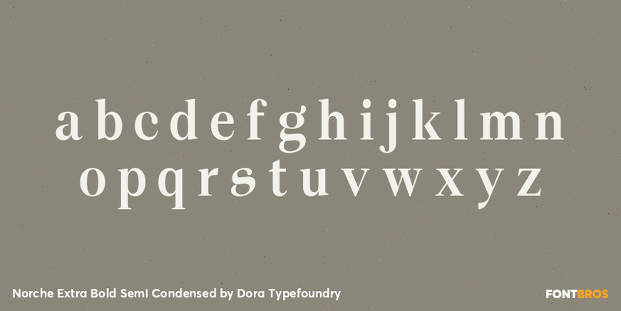 Norche Extra Bold Semi Condensed Font Poster #3