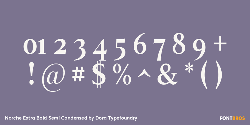Norche Extra Bold Semi Condensed Font Poster #4