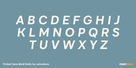 Trinket Sans Bold Italic Thumbnail #2