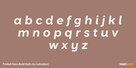 Trinket Sans Bold Italic Thumbnail #3
