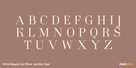 Vitral Regular Thumbnail #2