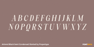 Artrend Black Semi Condensed Slanted Thumbnail #2
