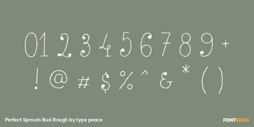 Perfect Sprouts Bud Rough Font Poster #4