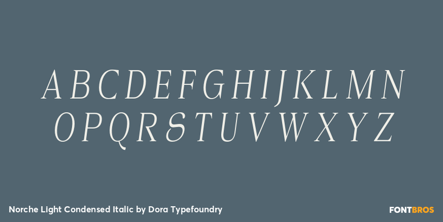 Norche Light Condensed Italic Font Poster #2