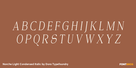 Norche Light Condensed Italic Thumbnail #2