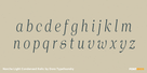 Norche Light Condensed Italic Thumbnail #3