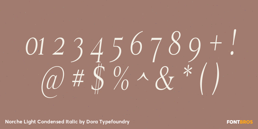 Norche Light Condensed Italic Font Poster #4