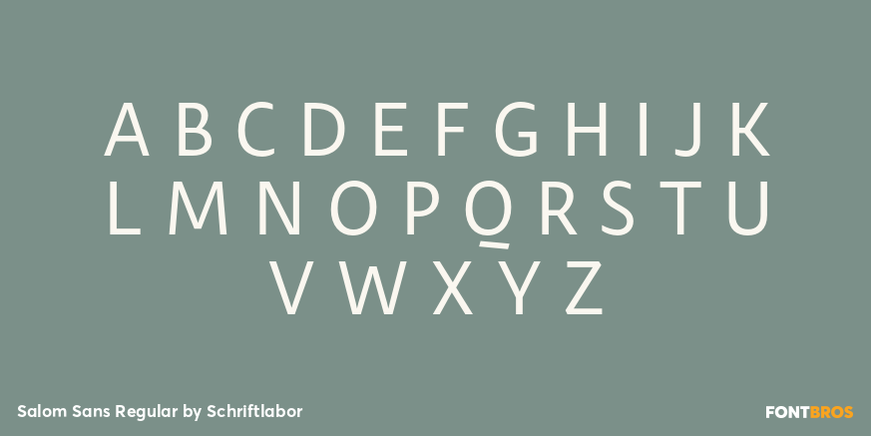 Salom Sans Regular Font Poster #2