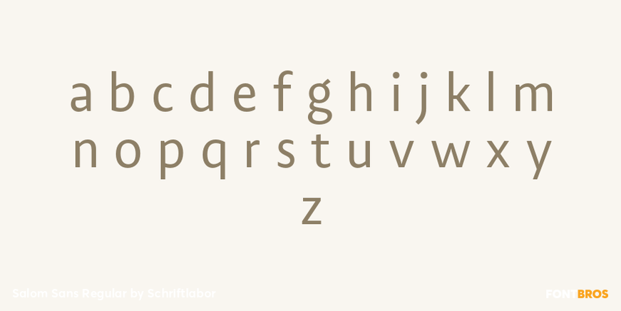 Salom Sans Regular Font Poster #3