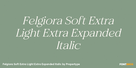 Felgiora Soft Extra Light Extra Expanded Italic Thumbnail #1