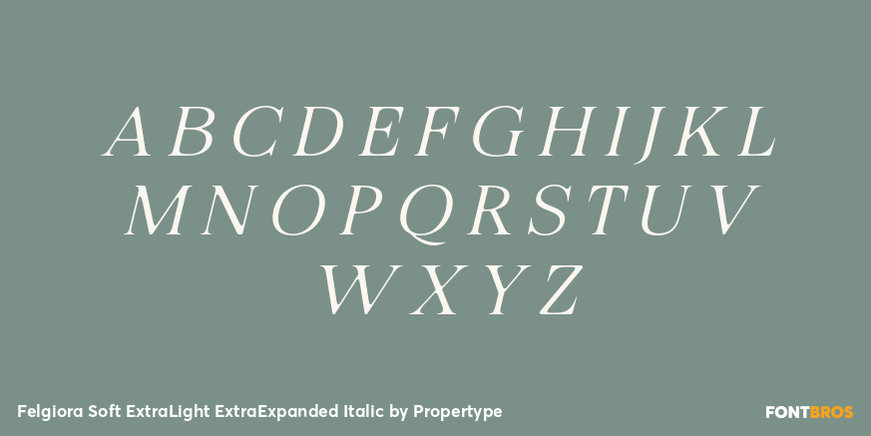 Felgiora Soft Extra Light Extra Expanded Italic Font Poster #2