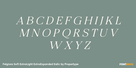 Felgiora Soft Extra Light Extra Expanded Italic Thumbnail #2