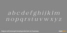 Felgiora Soft Extra Light Extra Expanded Italic Thumbnail #3
