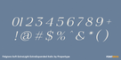 Felgiora Soft Extra Light Extra Expanded Italic Thumbnail #4